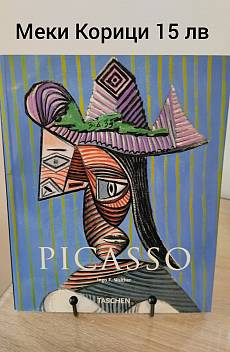 Книга Picasso