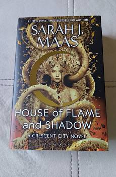 Книга House Of Flame And Shadow