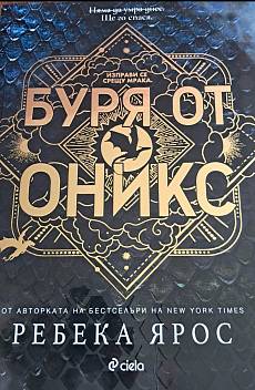 Книга Буря от оникс