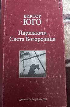 Книга Парижката Света Богородица