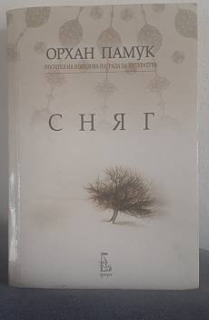 Сняг
