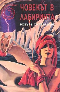 Човекът в лабиринта