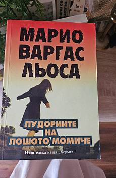 Книга Лудориите на лошото момиче