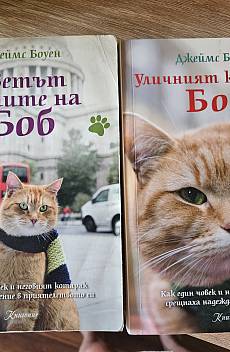 Светът в очите на Боб и Уличният котарак Боб