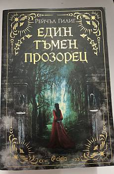 Книга Един тъмен прозорец