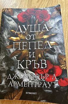 Книга Душа от пепел и кръв