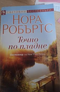 Книга Точно по пладне