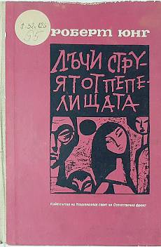 Лъчи струят от пепелищата. История на едно възраждане