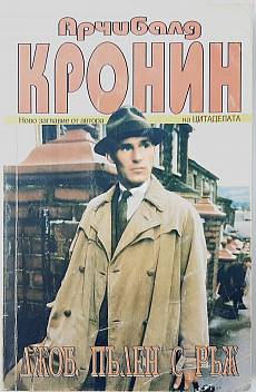 Джоб пълен с ръж