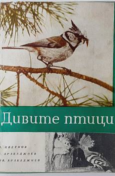 Книга Дивите птици