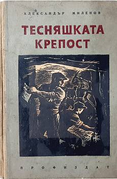 Тесняшката крепост