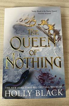 Книга The Queen of Nothing