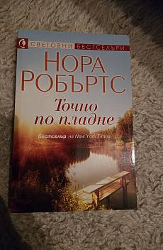 Книга Точно по пладне