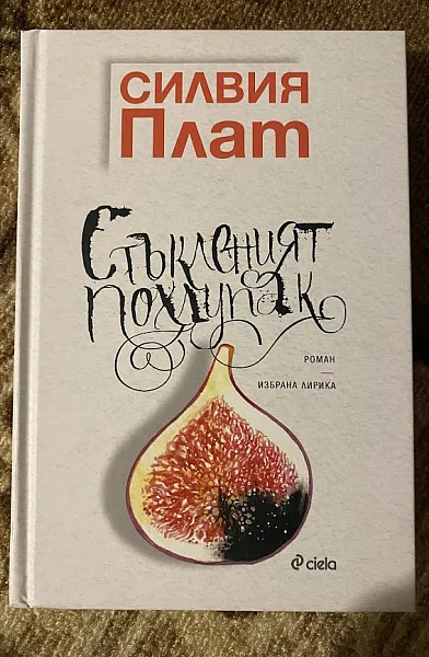Стъкленият похлупак