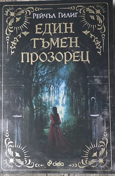 Книга Един тъмен прозорец