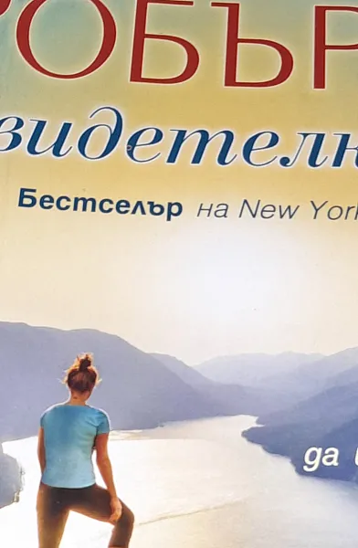 Книга Свидетелката