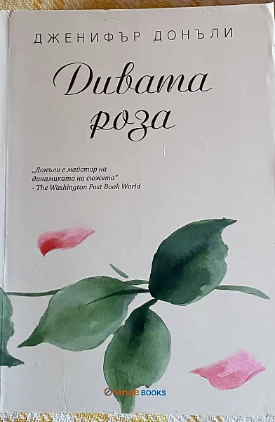 Зимната роза