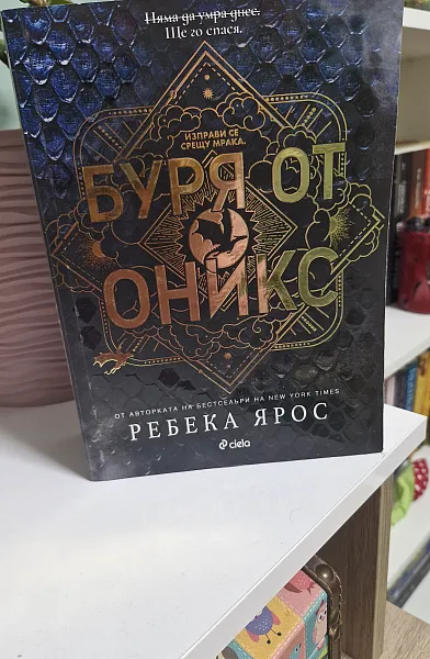 Книга Буря от оникс
