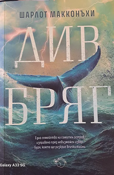 Книга Див бряг