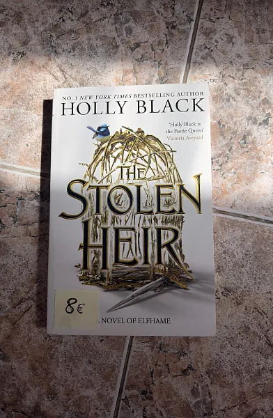 The Stolen Heir