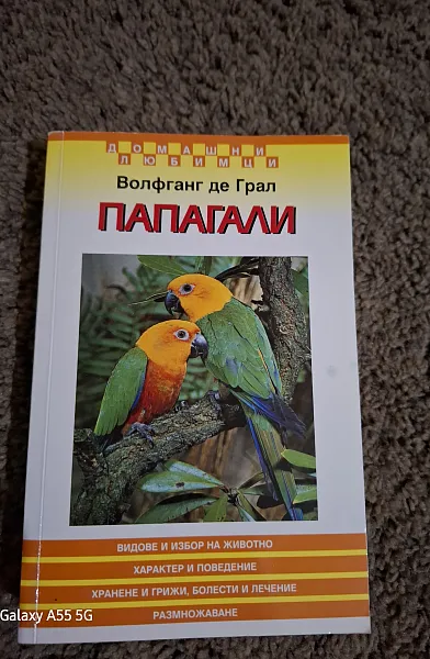 Книга Папагали