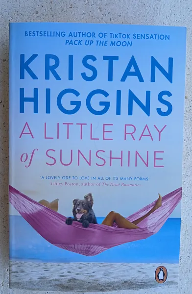Книга A little ray of sunshine