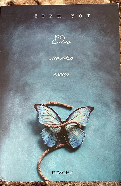 Книга Едно малко нещо
