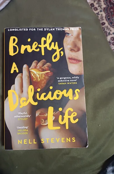 Книга Briefly, a delicious life