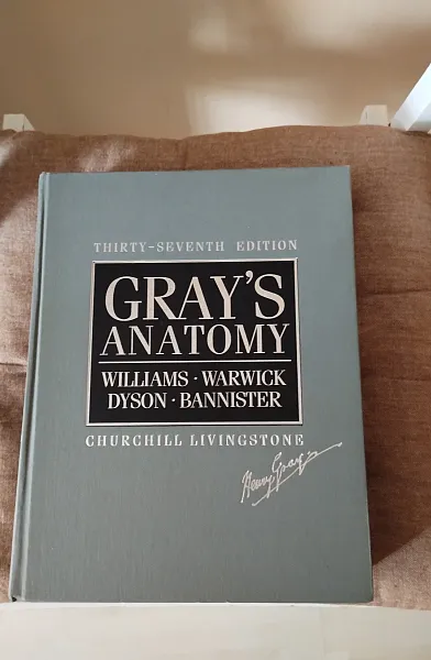 Книга Gray's Anatomy, 37edition