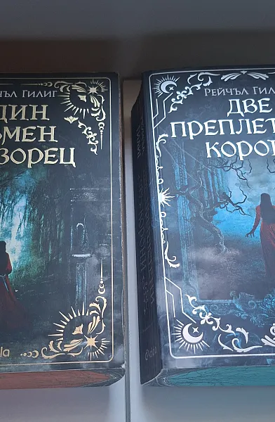 Книга Един тъмен прозорец