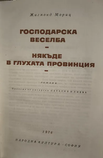 Господарска веселба. Някъде в глухата провинция