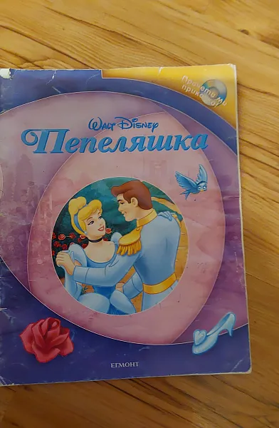 Книга ПЕПЕЛЯШКА