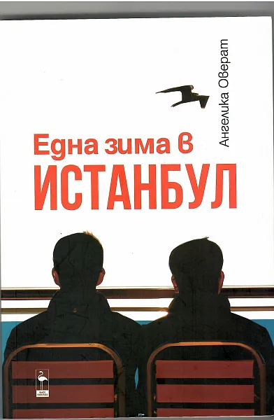 Книга Една зима в Истанбул