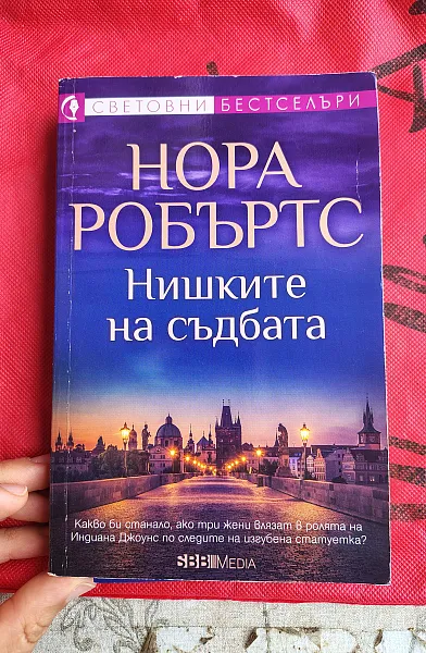 Книга НИШКИТЕ НА СЪДБАТА