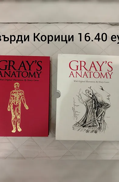 Grays Anatomy