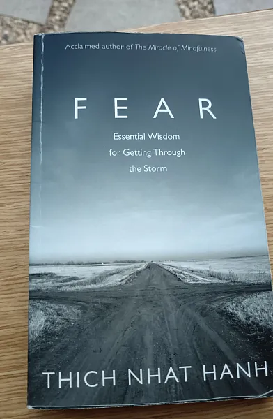 Книга Fear-essential wisdom for getting through the storm