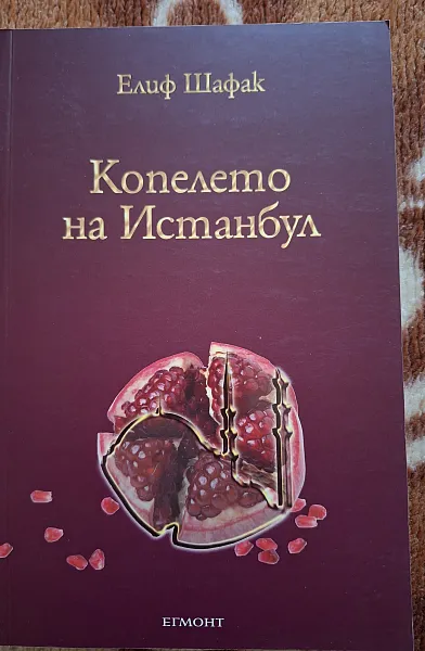 Книга Копелето на Истанбул