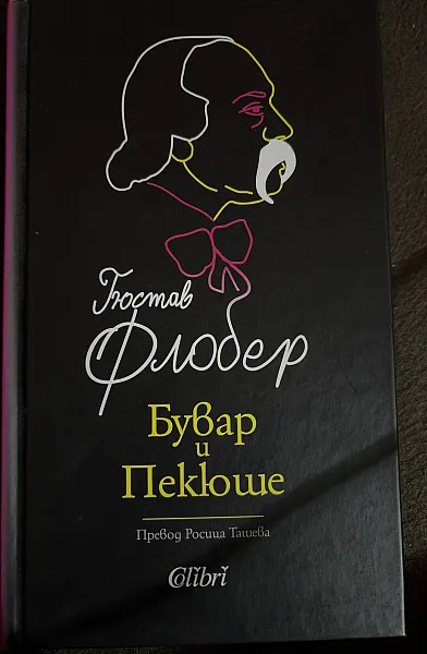 Книга Бувар и Пекюше