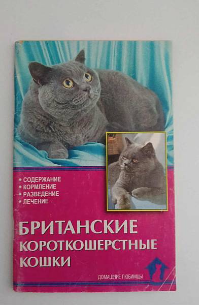 Книга Британские короткошерстнье кошки