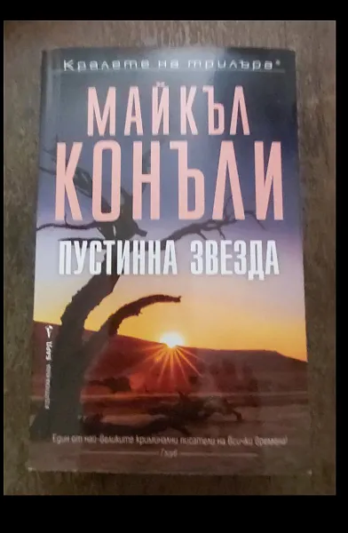 Пустинна Звезда