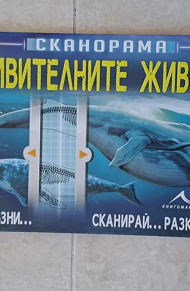 Книга Удивителните животни