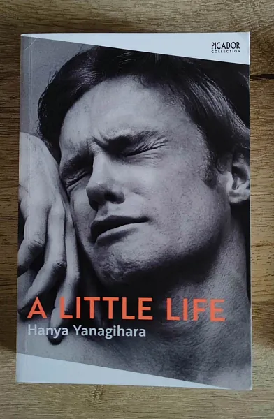 A Little Life