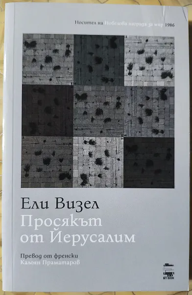 Книга Просякът от Йерусалим