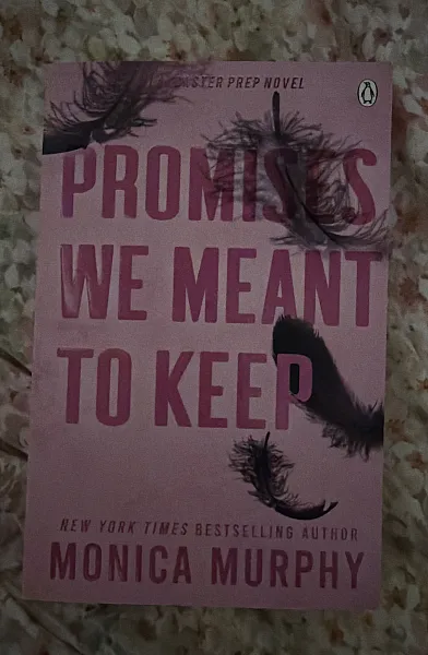 Книга Promises We Meant To Keep