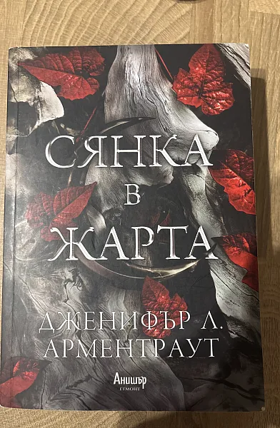 Книга Сянка в жарта