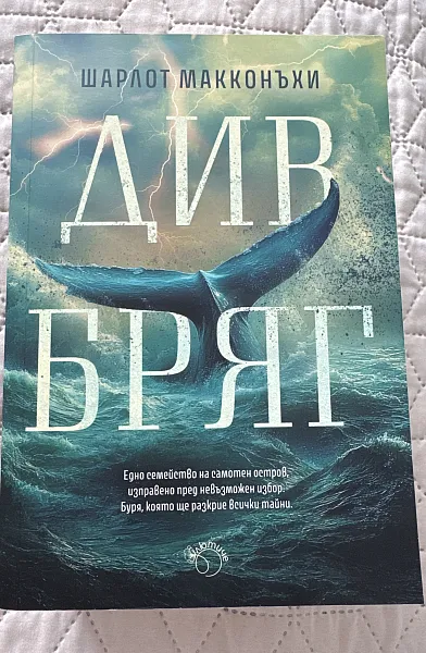 Див бряг