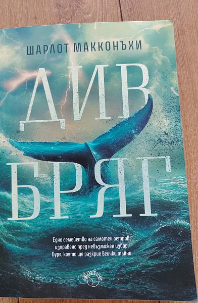 Книга Див бряг