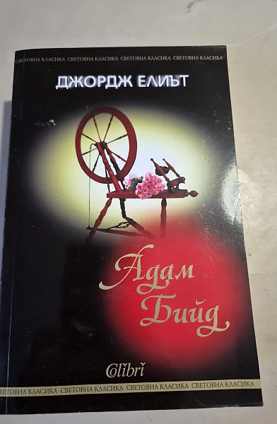 Книга Адам Бийд