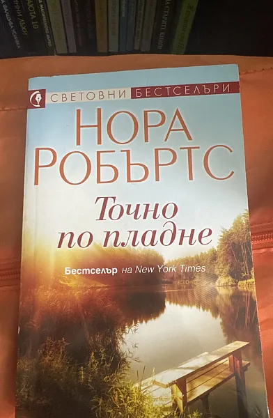 Книга Точно по пладне