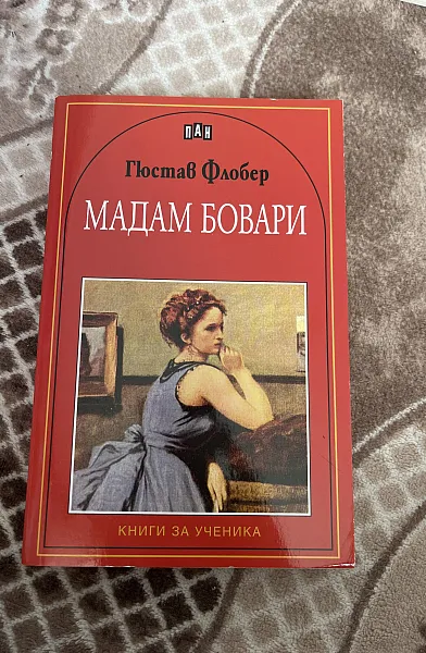 Книга Мадам Бовари
